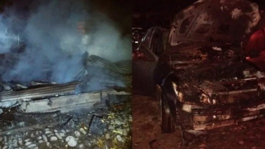 Querían espantar un enjambre de abejas con fuego: quemaron su casa y dos autos