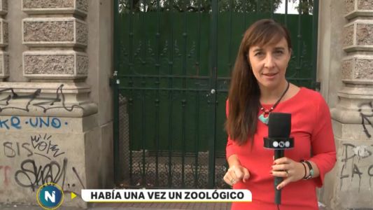 ¿Qué queda del zoológico porteño?: historia y recorrido