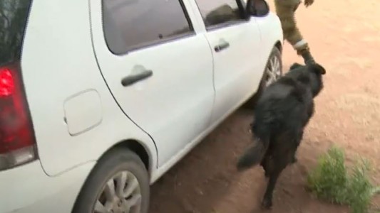 Qué pasó con Kaiser, el perro que quedó en medio de los incendios cuando su familia tuvo que evacuar el campo