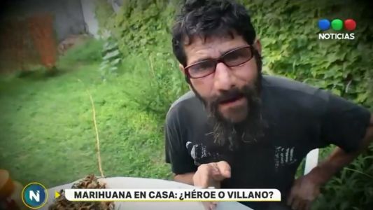 Polémica por la detención del profesor que cultiva marihuana en su casa