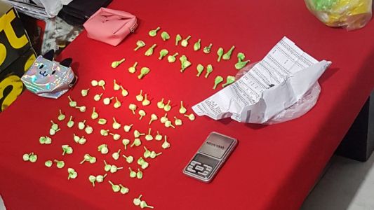 "Operación Ceviche": desarticularon a una banda que traficaba cocaína desde Bolivia