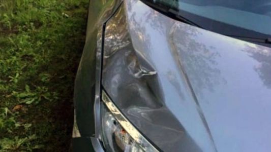 Investigan un misterioso crimen: un arquitecto atropelló y mató a su empelado en Panamericana