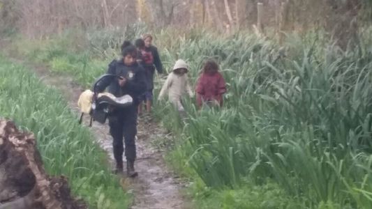 Rescataron a cinco hermanitos abandonados en el monte