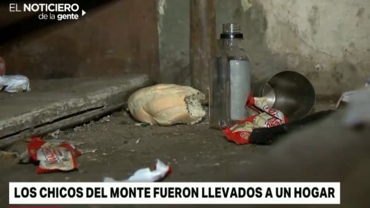 Los hermanitos del monte fueron llevados a un hogar