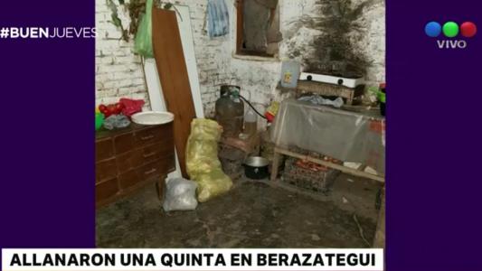 Cayó "la banda de los juguetes rabiosos": ocultaban 20 kilos de cocaína