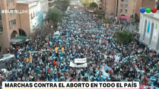 Los paseadores de perros se agrupan y buscan salir de la informalidad