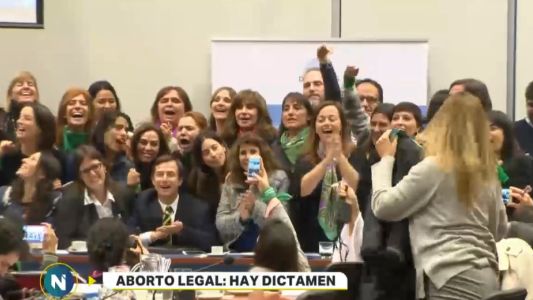 Aborto: el proyecto para despenalizarlo obtuvo dictamen de comisión
