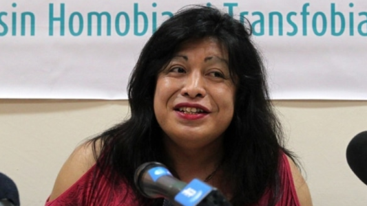 Condenaron a prisión perpetua al acusado por el travesticidio de Diana Sacayán