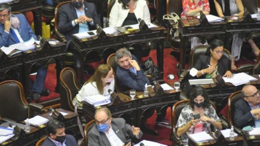 Diputados: el oficialismo rechazó incorporar un proyecto sobre el "conflicto mapuche"