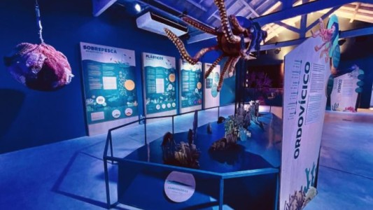 Estación Oceánica: el nuevo espacio educativo del Ecoparque porteño