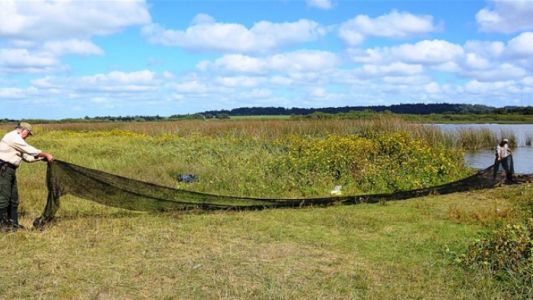 Plan canje y ahorro en Laguna de los Padres: el que corta el pasto se lo lleva