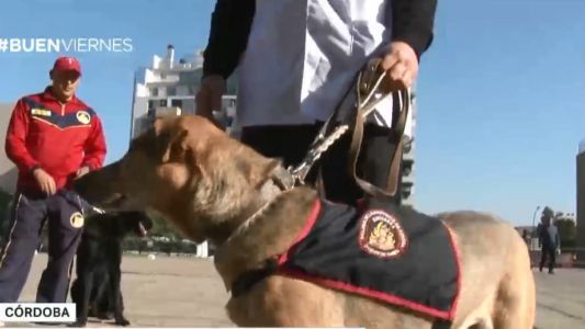 Jubilaron de la Policía a un perro héroe