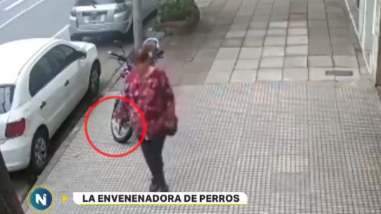 Asesina de perros en Parque Avellaneda: pena de 15 días a un año de cárcel