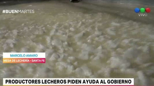 Crisis lechera: "Cerraron 450 tambos en el último año"