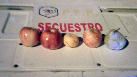 Paraná: detuvieron a dos adolescentes por robar tres manzanas, una mandarina y una pera