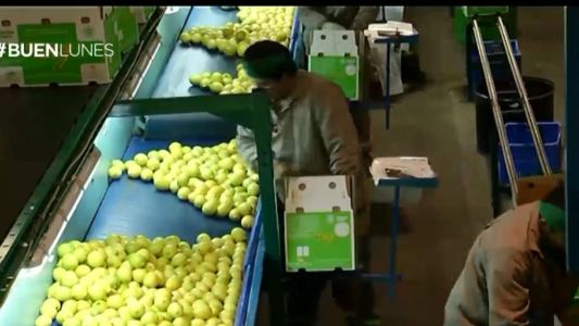 Del campo a la góndola, pagamos hasta 14 veces más