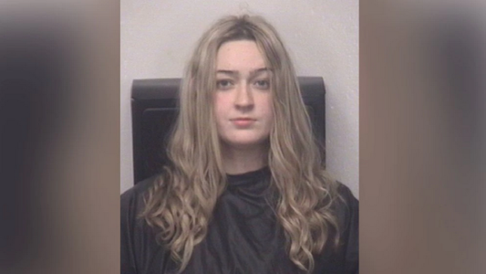 Detuvieron a una maestra por mandar imágenes pornográficas a estudiantes