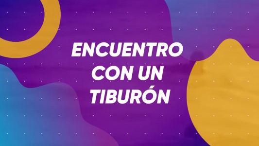 ENCUENTRO CON UN TIBURÓN - #BuenFlash