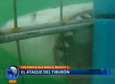 Accidente en carrera, ataque de tiburón y más videos que mira el mundo