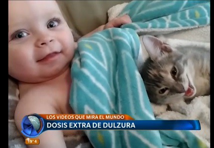 #SonVirales Estos son los videos que mira el mundo