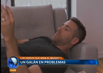 Los videos que mira el mundo, con peros, gatos, bebés y leones