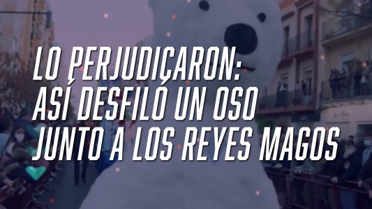 Lo perjudicaron: un oso polar casi decapitado en el desfile de Reyes Magos - #FlashChat