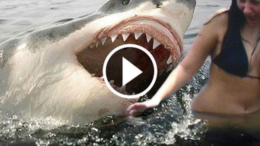 Crean un detector de mentiras para evitar videos falsos en los medios