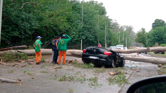Video: el dramático rescate del conductor de un auto aplastado por un árbol en Ezeiza