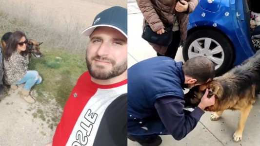 Encontró un perro en la ruta y gracias al microchip logró devolvérselo a su familia después de siete años
