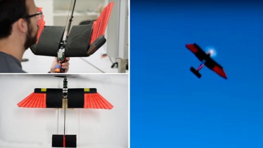 Fabrican un dron con plumas que imita el vuelo de las aves