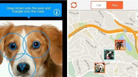 Una aplicación de reconocimiento facial permite encontrar perros extraviados