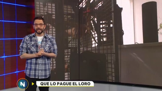 Que lo pague el loro... cuando la tecnología se nos vuelve en contra