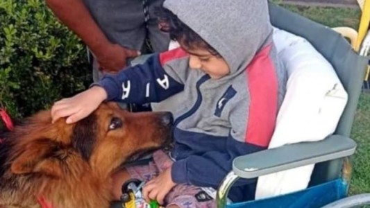 El Hospital El Cruce recibe a mascotas de los pacientes para ayudar en la recuperación
