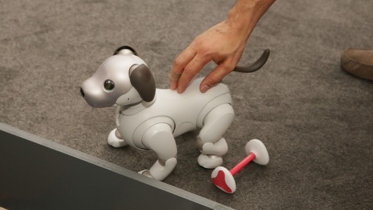 Perro robot arrasa y se agota en la venta anticipada