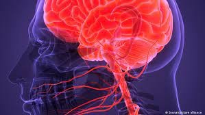 Fin del misterio: revelan qué le ocurre a nuestro cerebro justo antes de morir