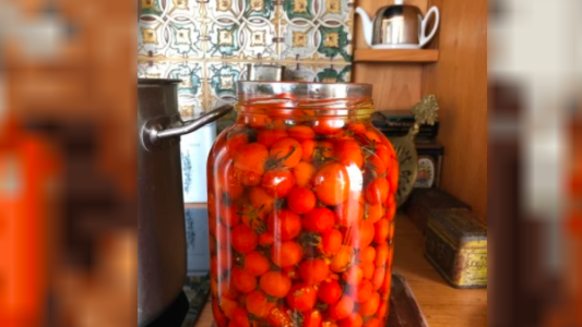 Mujer ucraniana derribó un dron ruso con un frasco de tomates