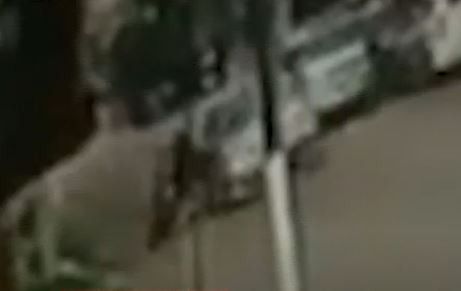 Video: Le tiró el auto encima a un motocilista