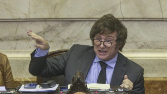 Milei habló de "ajustazo" y dijo que Máximo Kirchner "votó correctamente"