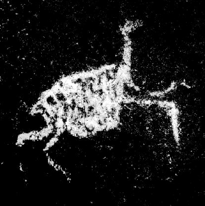 Descubren figuras enormes de camélidos en un cerro de un complejo arqueológico de Perú