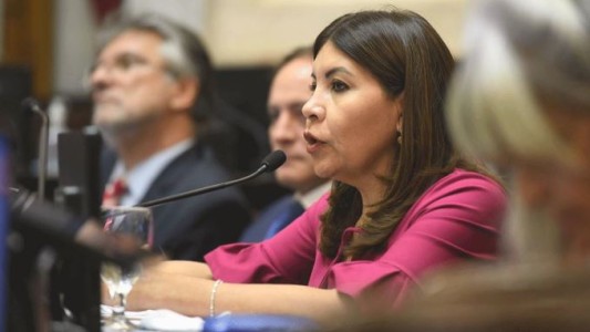 La "Espada de Domacle": el furcio de una senadora del Frente de Todos que se hizo viral