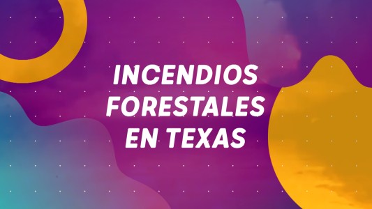 Incendios forestales en Texas - #BuenFlash
