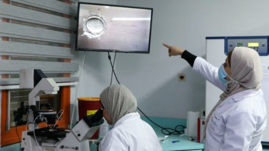 Todo por un varón: el viaje de una madre para eludir la legislación de su país y elegir el sexo de su bebé