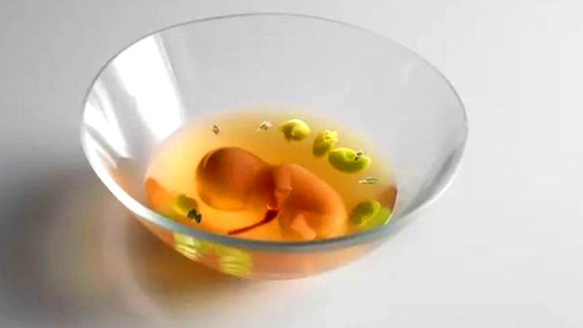 Polémica por un restaurante que creó un plato que simula un feto