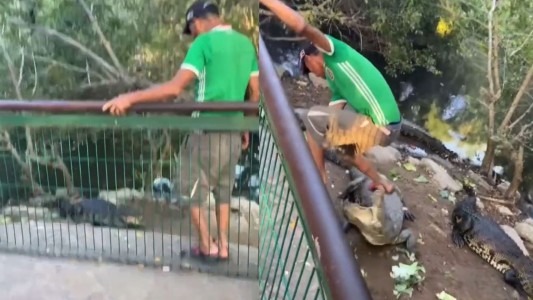 Ingresó borracho a una laguna con cocodrilos y los pateó: "No me faltes en respeto, soy tu rey"