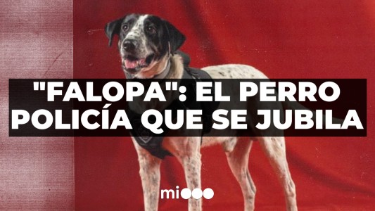 Se jubila “Falopa” #TFN