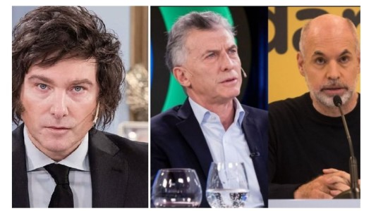 Milei: "No haría alianza con las palomitas tibias del PRO pero a los halcones los recibiría"