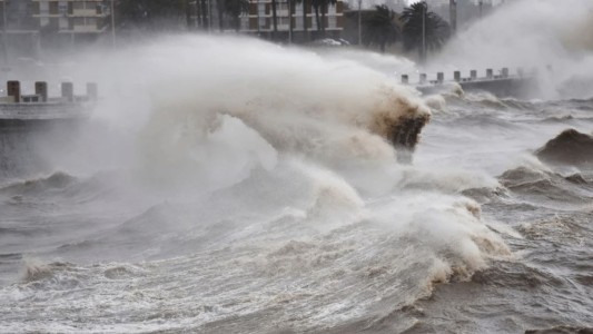 Ciclón subtropical en Uruguay: un joven murió tras la caída de un árbol