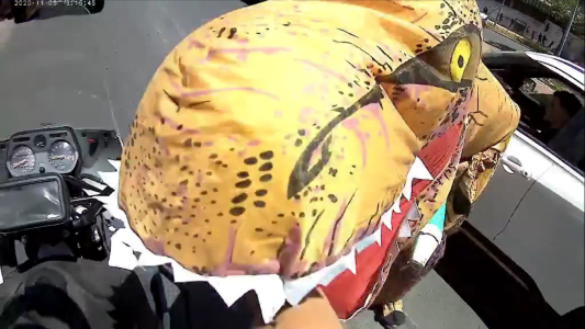 Un dinosaurio suelto en Mendoza - #FlashChat