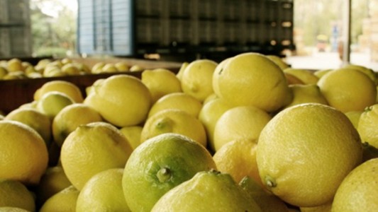 Estados Unidos suspendió por 60 días la importación de limones de Argentina