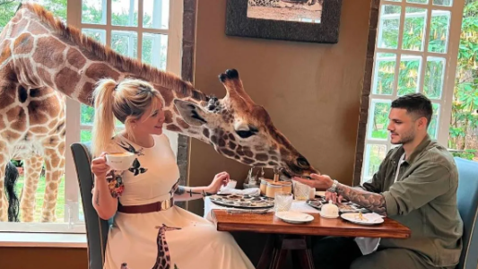 Desayuno de princesa: Wanda toma el café con leche con Icardi y una jirafa de invitada